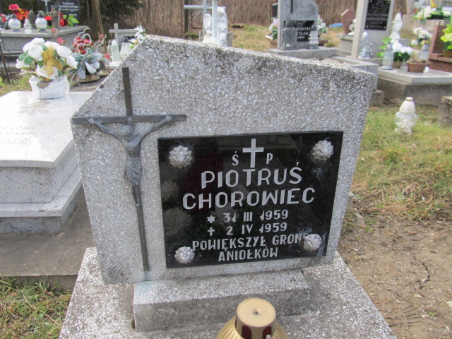 Piotr Chorowiec 1959 Brzozów - Grobonet - Wyszukiwarka osób pochowanych