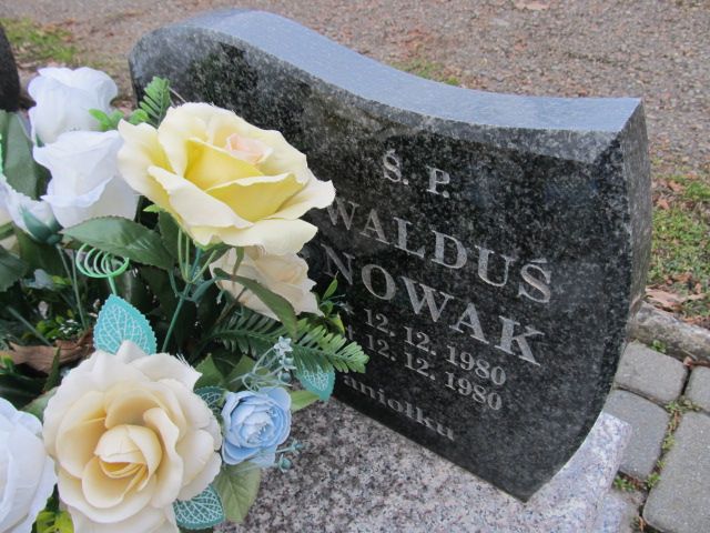 Waldemar Nowak 1980 Brzozów - Grobonet - Wyszukiwarka osób pochowanych