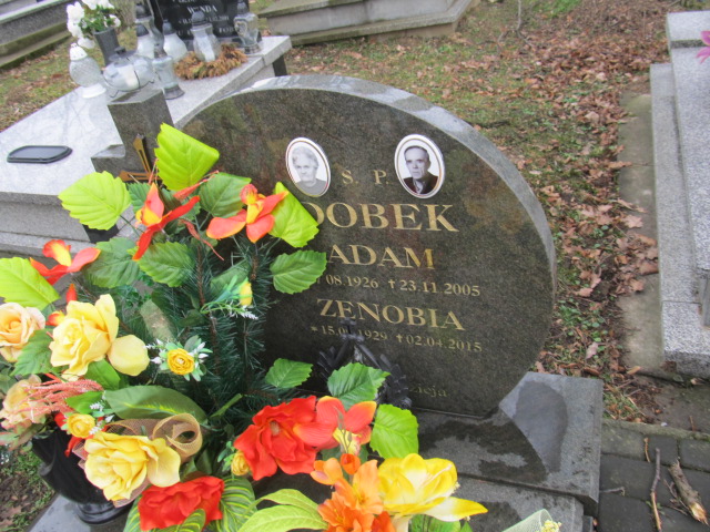 Zenobia Dobek 1929 Brzozów - Grobonet - Wyszukiwarka osób pochowanych